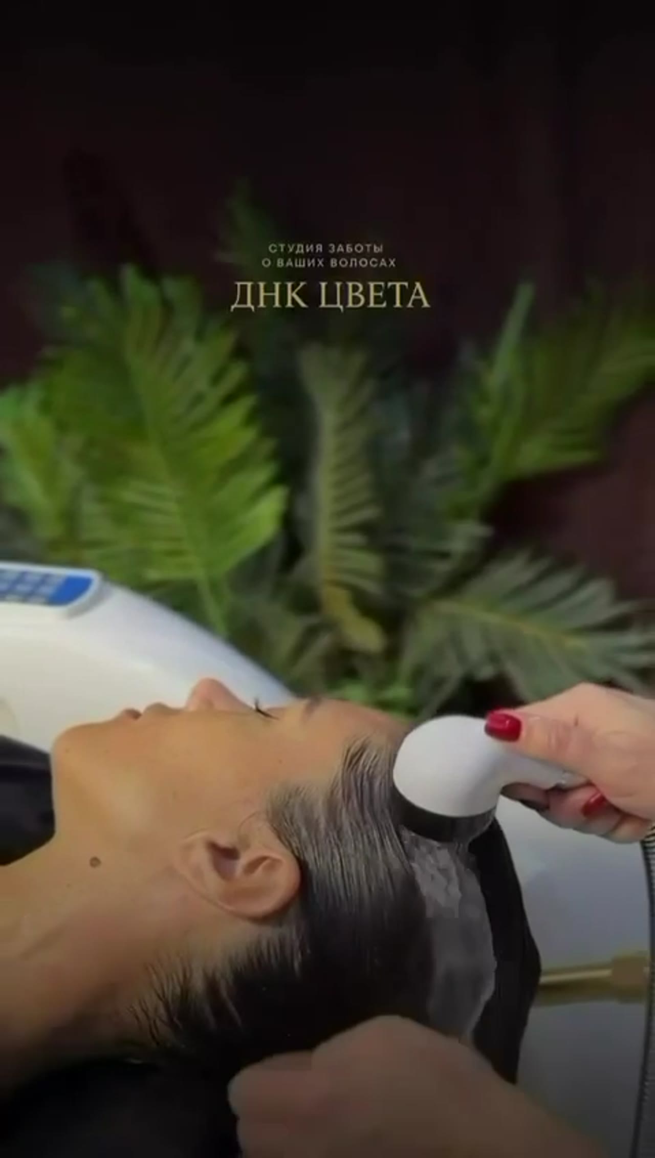 Проект 08